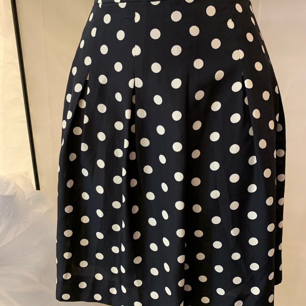 😻 2/$20 Blue & White Polka Dot J Crew Skirt 12